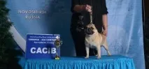 развъдник развъдник