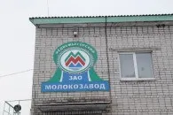 Під голодне виття корів як насправді справи у Медвежьегорского молокозаводу, яким так корів