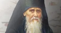 защо защо