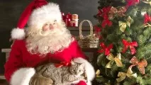 могат могат