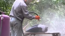 прахово прахово