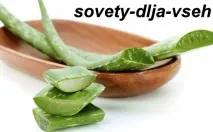 Сокът алое Сокът алое