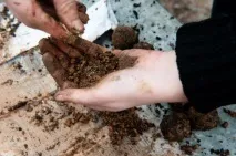 Чому деякі люди їдять землю деякі