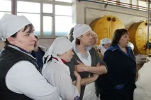 Під голодне виття корів як насправді справи у Медвежьегорского молокозаводу, яким так насправді