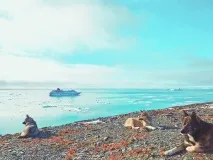 изследователи хранят