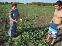 Чому турки-месхетинці їдуть із донської глибинки МК Ростов-на-Дону їдуть