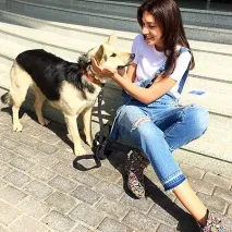Чому не варто боятися брати собаку з притулку, що надихають історії, HELLO! Росія чому
