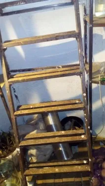 хобіта