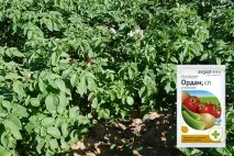 ordan инструкции