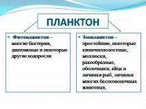 живот