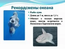 география