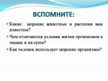 презентация
