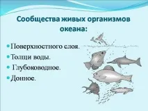 живот