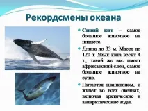 темата