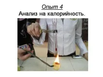 Презентація на тему - Чіпси натрію