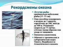 презентация