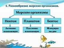 география