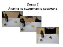Презентація на тему - Чіпси натрію