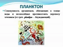 живот