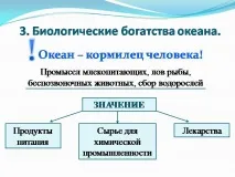 океана