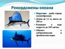 география