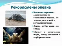 клас