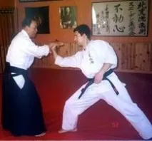 главен бушин