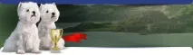 правила заглавието