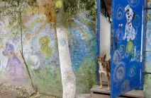 Притулок для бездомних тварин у Пирогові (9 фото) тварин
