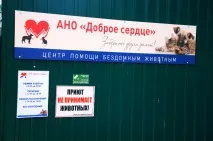 добро сърце