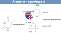 Ральтитрекст та 5-фторурацил дляхіміотерапії раку ральтитрекст