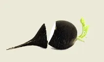 ползи ползи