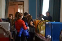 Рідкісні породи кішок привезли учасники Міжнародної виставки до Уссурійська. кішок