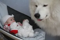 радість