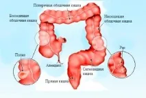 вече тумор вече тумор