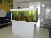 прием лекари