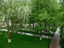 лекари прием