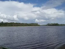 река принадлежи басейна