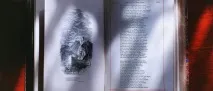 Publish or perish» publish