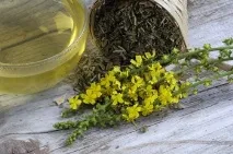 Репішок звичайний корисні та лікувальні властивості, протипоказання, способи застосування трави при репішок