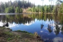 район отрадное