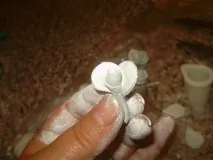 клас елементи