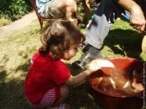 захоплення