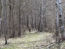 рожнівський