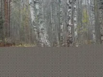 Рожнівський мис, В Рибінськ Рожнівського