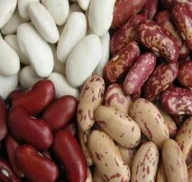 вкус хармония