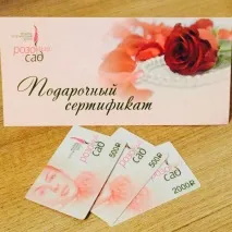 Рожевий Сад, медико-естетичний центр у Красноярську на Червоній Армії, 18 — відгуки, адреса, телефон медико-естетичний