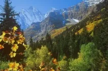 макроскоп северният