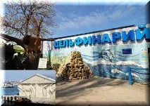 делфинариум