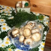 Печериці на грилі рецепт з фото покроково фото